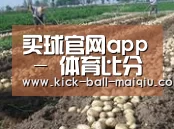 种植基地八
