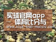 种植基地八(图1)