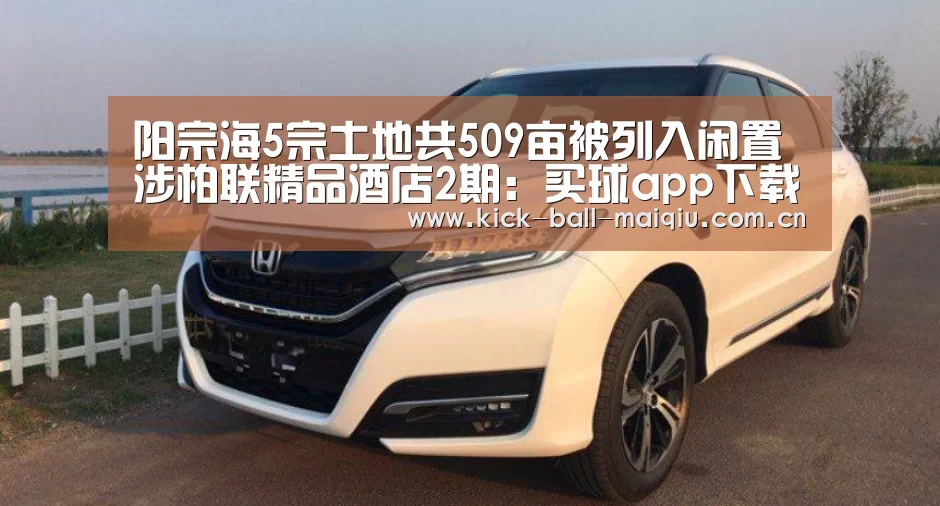 买球app官网